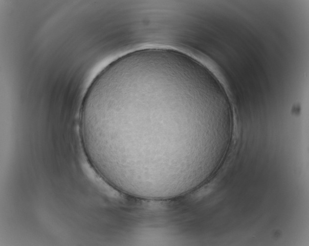 X0000110670958200907021843