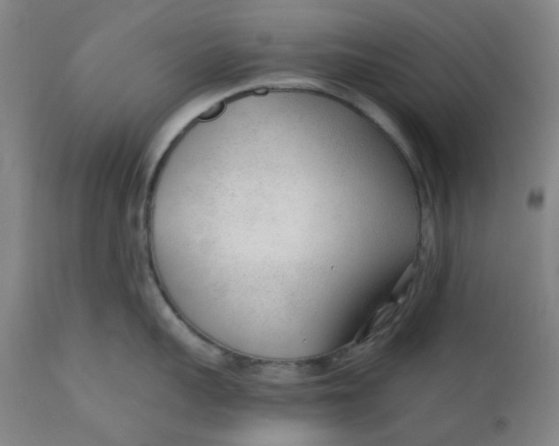 X0000110670959200907021843
