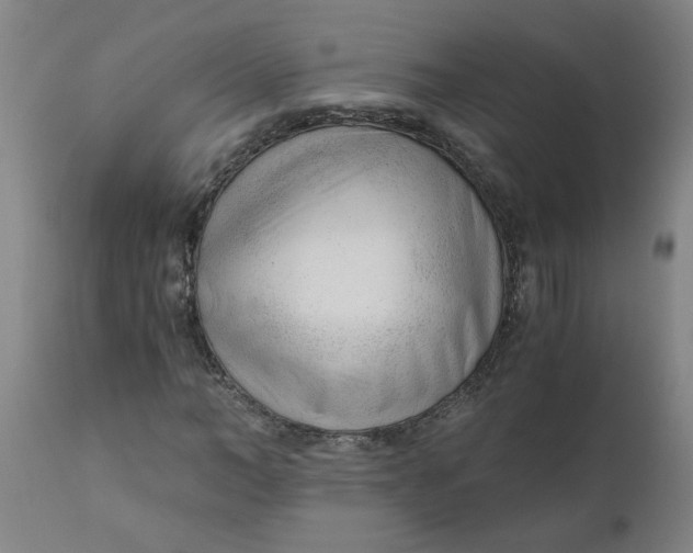 X0000110670966200907021842