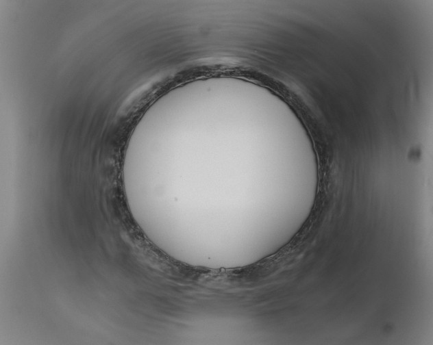 X0000110670967200907021842