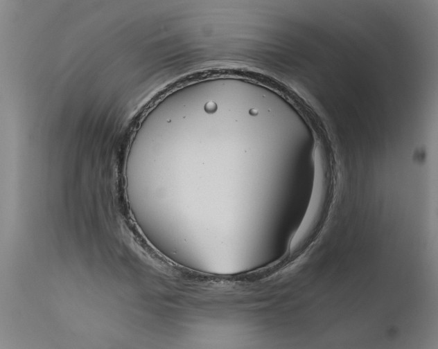 X0000110670969200907021842