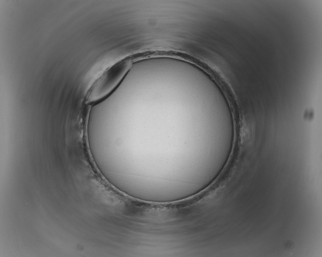 X0000110670973200907021842