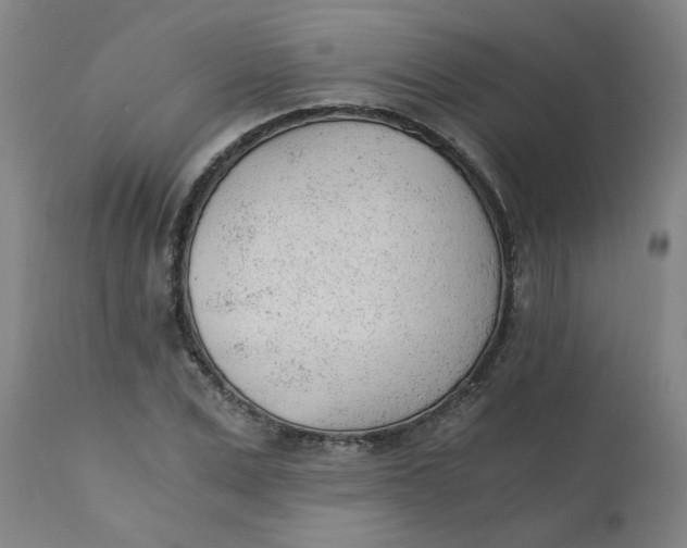 X0000110670975200907021842