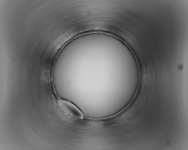 X0000110670977200907021842