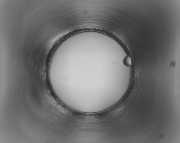 X0000110670979200907021842