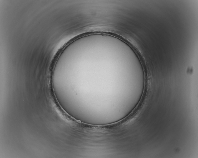 X0000110670981200907021842