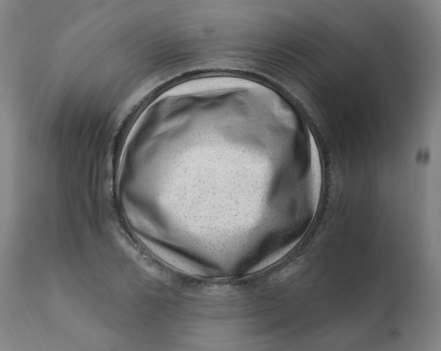X0000110670982200907021842