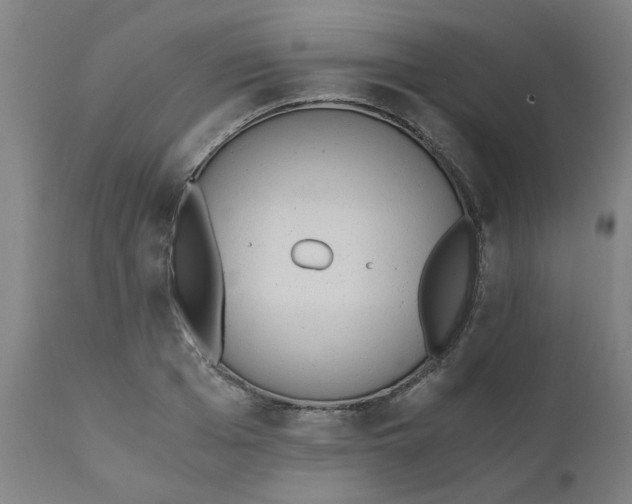 X0000110670985200907021842