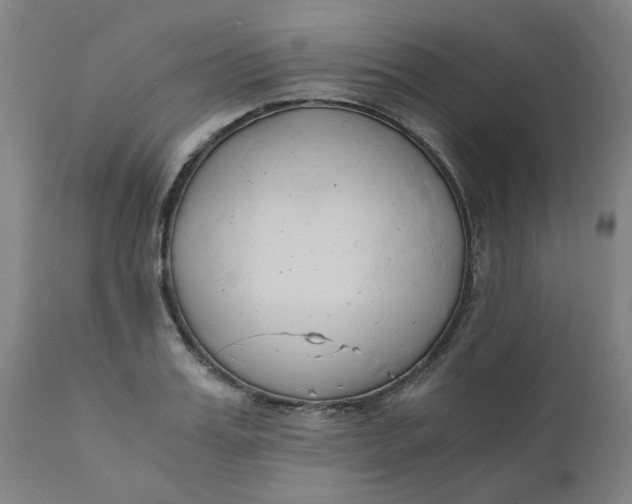 X0000110670987200907021842