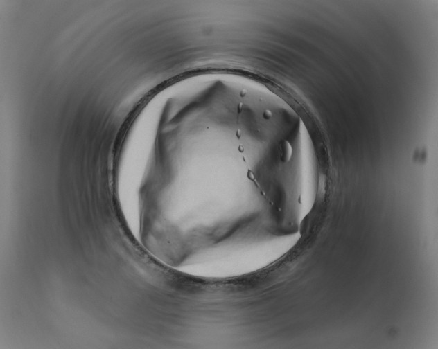 X0000110670988200907021842