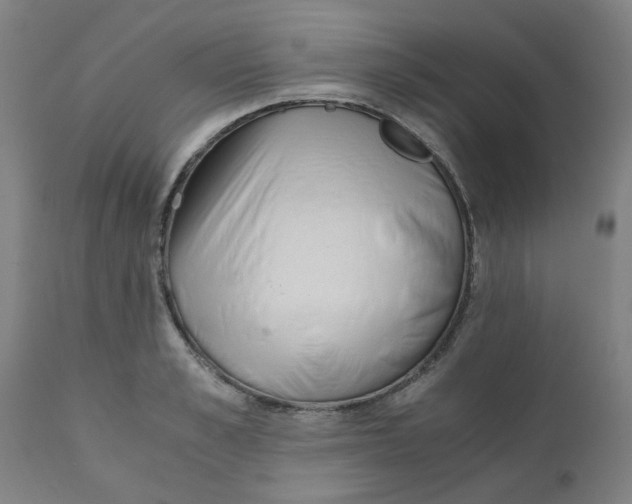 X0000110670989200907021842