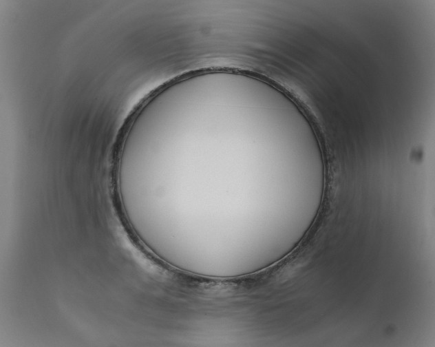 X0000110670991200907021842