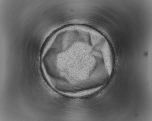 X0000110670992200907021842