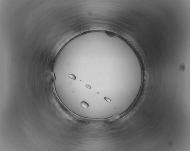 X0000110670993200907021842