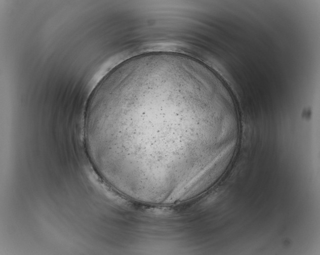 X0000110670994200907021842