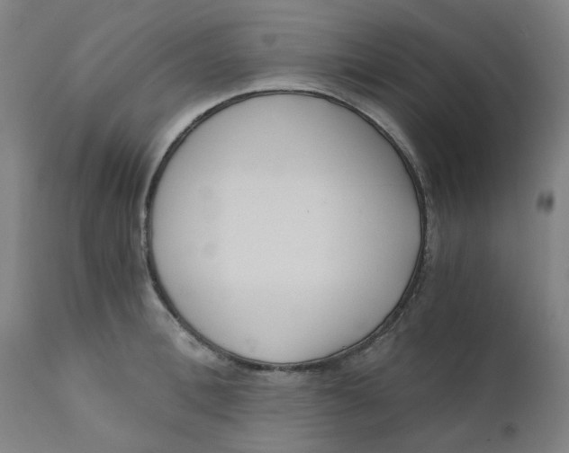 X0000110670996200907021842