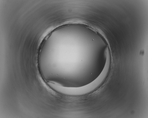 X0000110670997200907021842