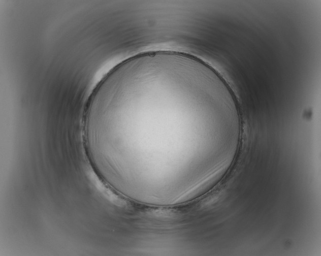X0000110670998200907021842
