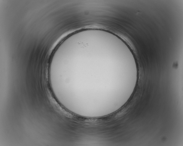 X0000110671000200907021842
