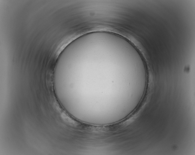 X0000110671001200907021842