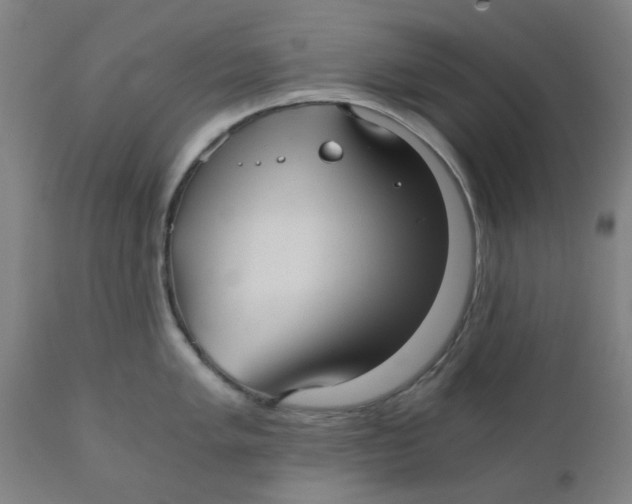X0000110671005200907021842
