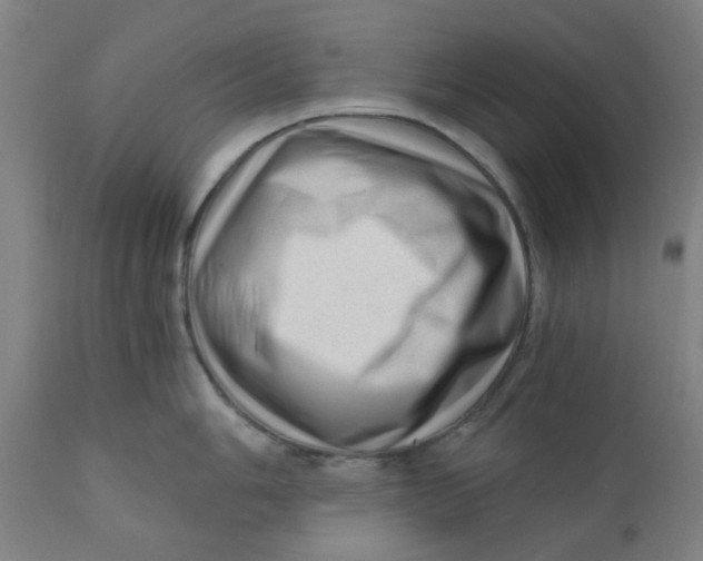 X0000110671006200907021842