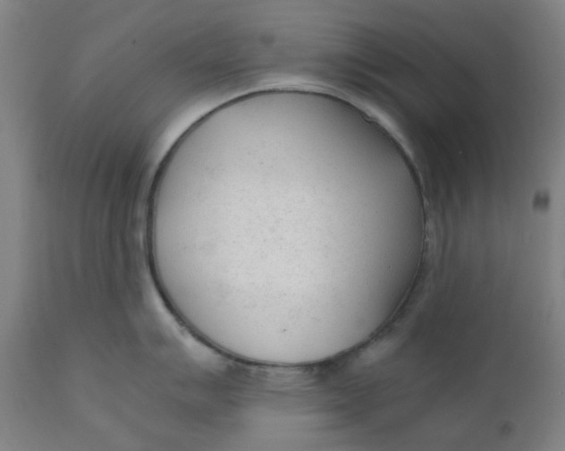 X0000110671007200907021842