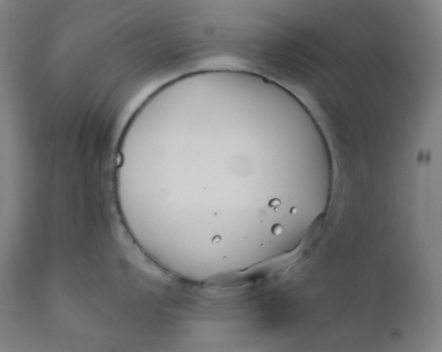 X0000110671008200907021842