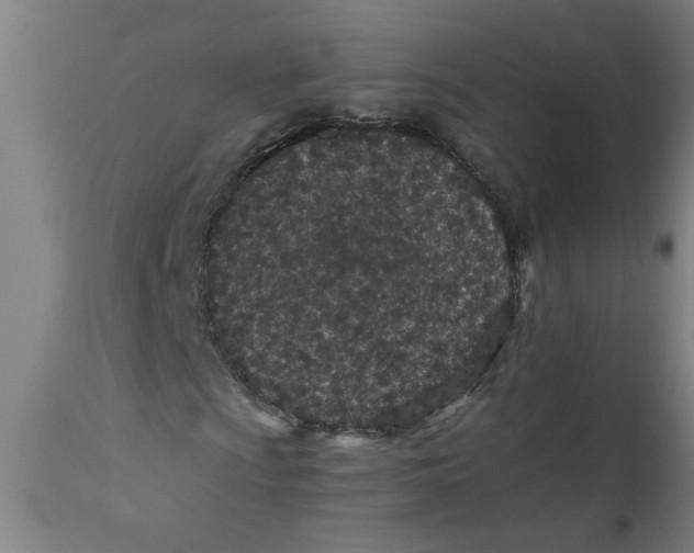 X0000110671009200907021841