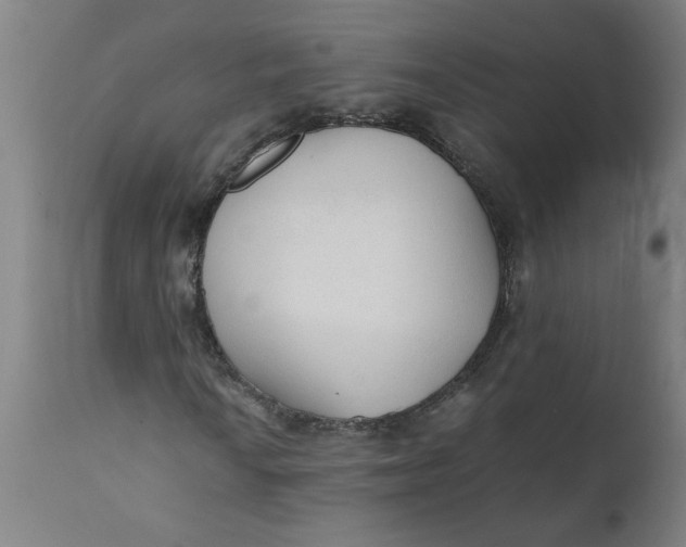 X0000110671010200907021841