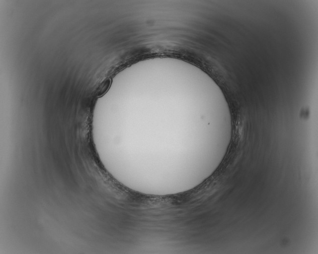 X0000110671012200907021841