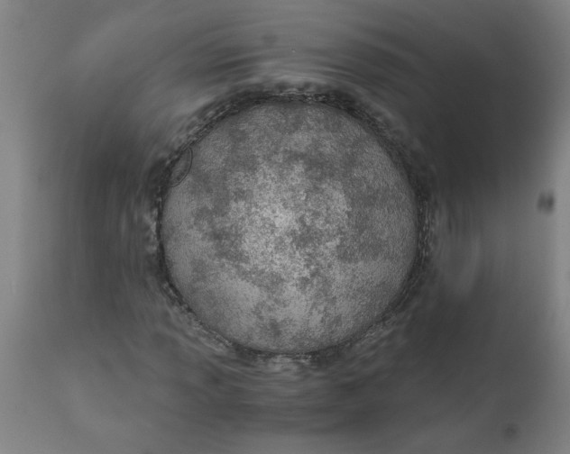 X0000110671013200907021841