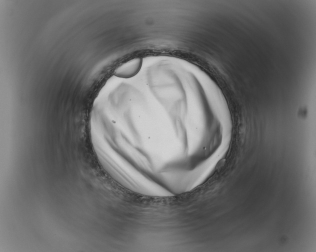 X0000110671016200907021841