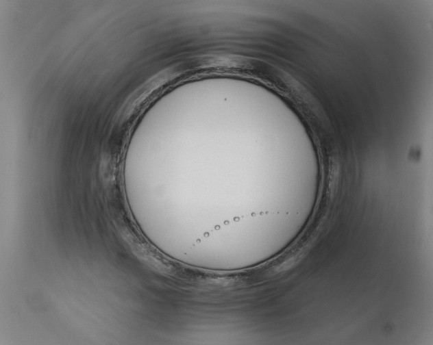 X0000110671017200907021841