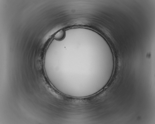 X0000110671018200907021841