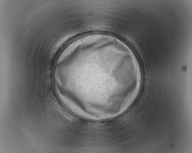 X0000110671019200907021841