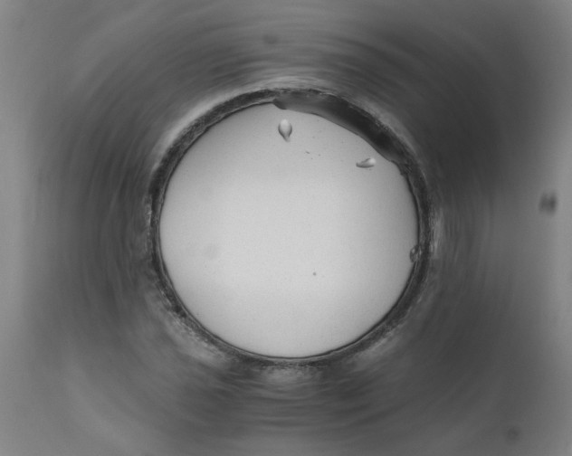 X0000110671021200907021841