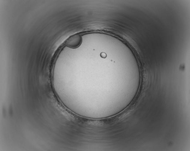 X0000110671023200907021841