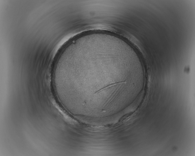 X0000110671024200907021841