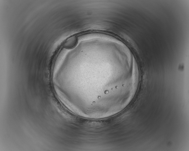 X0000110671027200907021841
