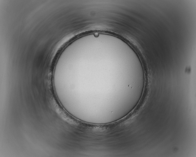 X0000110671029200907021841