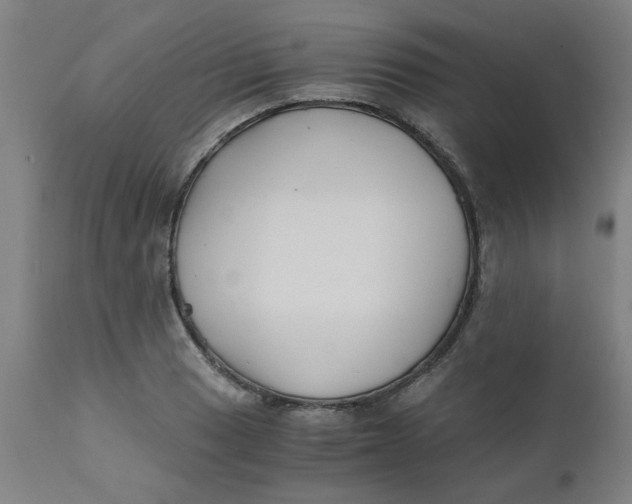 X0000110671033200907021841