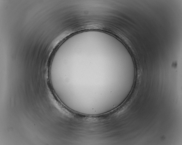 X0000110671034200907021841