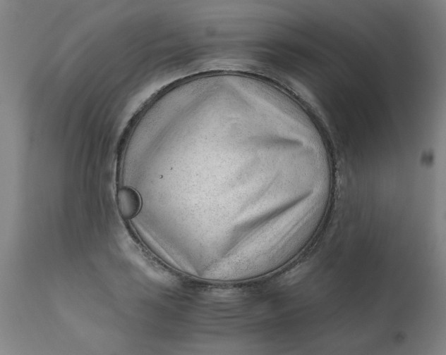 X0000110671035200907021841