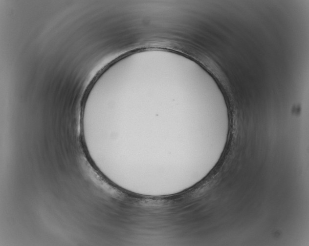 X0000110671036200907021841