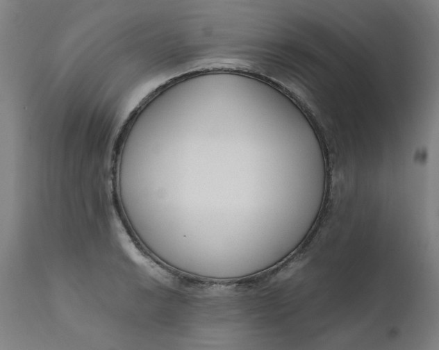 X0000110671038200907021841