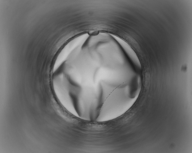 X0000110671039200907021841