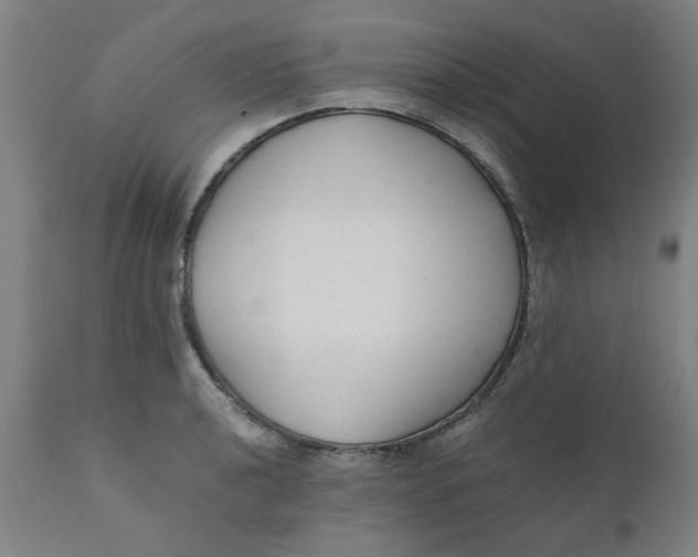 X0000110671040200907021841