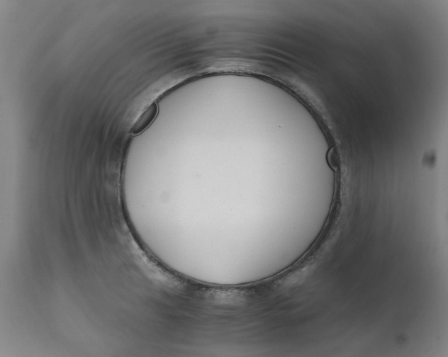 X0000110671041200907021841