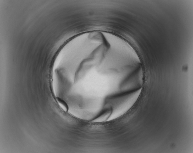 X0000110671043200907021841